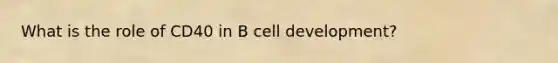 What is the role of CD40 in B cell development?