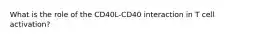 What is the role of the CD40L-CD40 interaction in T cell activation?