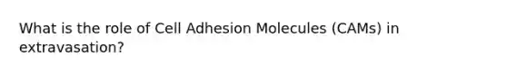 What is the role of Cell Adhesion Molecules (CAMs) in extravasation?