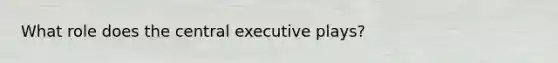 What role does the central executive plays?