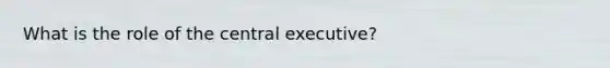 What is the role of the central executive?