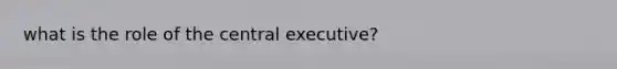 what is the role of the central executive?