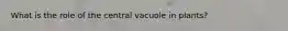 What is the role of the central vacuole in plants?