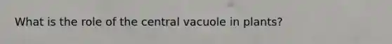 What is the role of the central vacuole in plants?