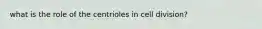 what is the role of the centrioles in cell division?