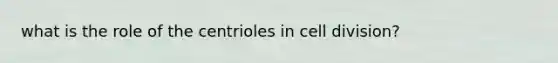 what is the role of the centrioles in cell division?