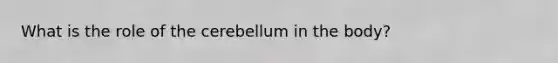 What is the role of the cerebellum in the body?