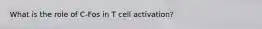 What is the role of C-Fos in T cell activation?