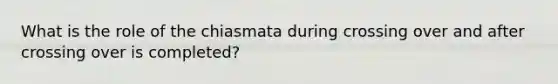 What is the role of the chiasmata during crossing over and after crossing over is completed?