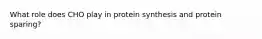 What role does CHO play in protein synthesis and protein sparing?