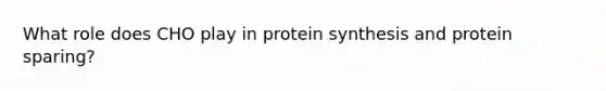 What role does CHO play in protein synthesis and protein sparing?