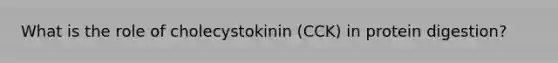 What is the role of cholecystokinin (CCK) in protein digestion?