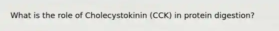 What is the role of Cholecystokinin (CCK) in protein digestion?