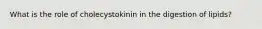 What is the role of cholecystokinin in the digestion of lipids?