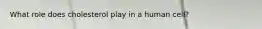 What role does cholesterol play in a human cell?