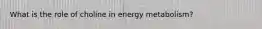 What is the role of choline in energy metabolism?