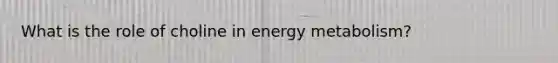 What is the role of choline in energy metabolism?