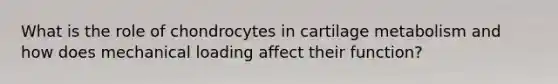 What is the role of chondrocytes in cartilage metabolism and how does mechanical loading affect their function?