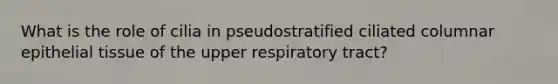 What is the role of cilia in pseudostratified ciliated columnar epithelial tissue of the upper respiratory tract?