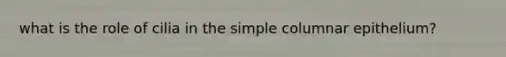 what is the role of cilia in the simple columnar epithelium?