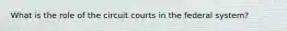 What is the role of the circuit courts in the federal system?