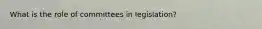 What is the role of committees in legislation?