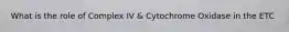 What is the role of Complex IV & Cytochrome Oxidase in the ETC