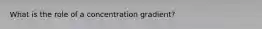 What is the role of a concentration gradient?