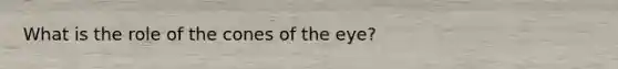 What is the role of the cones of the eye?