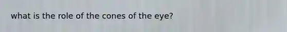 what is the role of the cones of the eye?