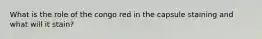 What is the role of the congo red in the capsule staining and what will it stain?