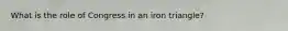 What is the role of Congress in an iron triangle?