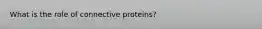 What is the role of connective proteins?
