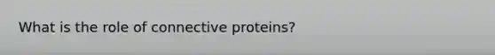 What is the role of connective proteins?