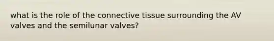 what is the role of the connective tissue surrounding the AV valves and the semilunar valves?