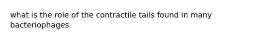 what is the role of the contractile tails found in many bacteriophages