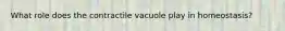 What role does the contractile vacuole play in homeostasis?