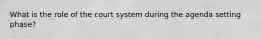 What is the role of the court system during the agenda setting phase?