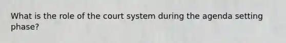 What is the role of the court system during the agenda setting phase?