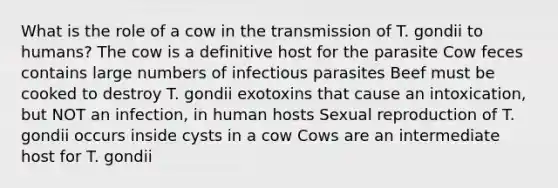 What is the role of a cow in the transmission of T. gondii to humans? The cow is a definitive host for the parasite Cow feces contains large numbers of infectious parasites Beef must be cooked to destroy T. gondii exotoxins that cause an intoxication, but NOT an infection, in human hosts Sexual reproduction of T. gondii occurs inside cysts in a cow Cows are an intermediate host for T. gondii