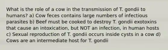 What is the role of a cow in the transmission of T. gondii to humans? a) Cow feces contains large numbers of infectious parasites b) Beef must be cooked to destroy T. gondii exotoxins that cause an intoxication, but NOT an infection, in human hosts c) Sexual reproduction of T. gondii occurs inside cysts in a cow d) Cows are an intermediate host for T. gondii