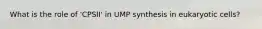 What is the role of 'CPSII' in UMP synthesis in eukaryotic cells?