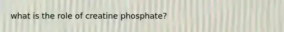 what is the role of creatine phosphate?
