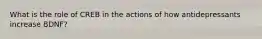 What is the role of CREB in the actions of how antidepressants increase BDNF?