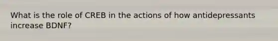 What is the role of CREB in the actions of how antidepressants increase BDNF?