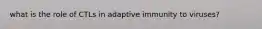 what is the role of CTLs in adaptive immunity to viruses?