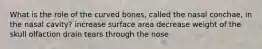 What is the role of the curved bones, called the nasal conchae, in the nasal cavity? increase surface area decrease weight of the skull olfaction drain tears through the nose