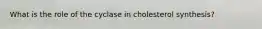 What is the role of the cyclase in cholesterol synthesis?