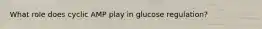 What role does cyclic AMP play in glucose regulation?