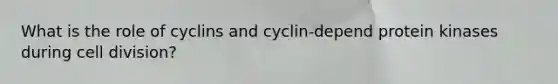 What is the role of cyclins and cyclin-depend protein kinases during cell division?